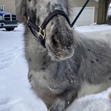 Entry image for Blue