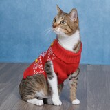 Entry image for Lana