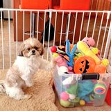 Entry image for Aries Francois (Benito) Lamont Hickerson