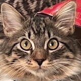 Entry image for Benito