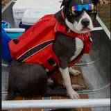 Entry image for Glacier Amadeus Hale