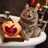 Entry image for Tink - Spa Day