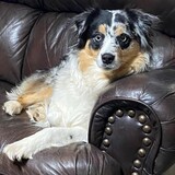 Entry image for Myah Shea 