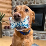 Entry image for Millie