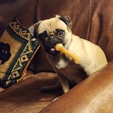 Entry image for Gunni