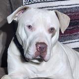 Entry image for Kilo