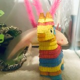 Entry image for Kirbo