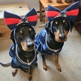 Entry image for Penny & Pandora