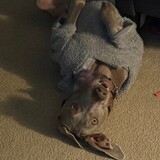 Entry image for Dakota