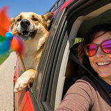 Entry image for Gemma