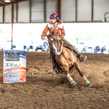 Entry image for Gypsy