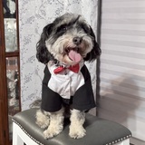 Entry image for Bronco