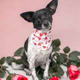 Entry image for Billie