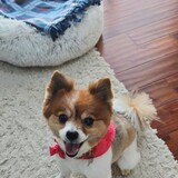 Entry image for Roxy