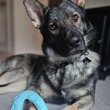 Entry image for Zion