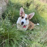 Entry image for Tater