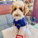 Entry image for Sammy Rose, RN