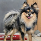 Entry image for Kasino