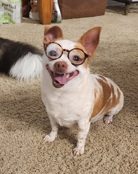 Entry image for Geraldine. Clicking this image will show a larger photo