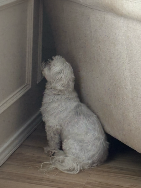 Entry image for Topher . Clicking this image will show a larger photo