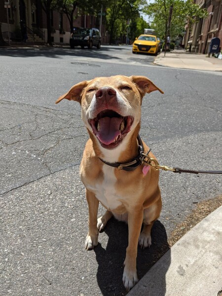 Entry image for Siren. Clicking this image will show a larger photo