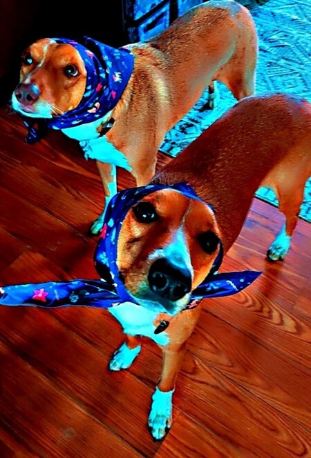 Entry image for NaTakey & Hermione . Clicking this image will show a larger photo