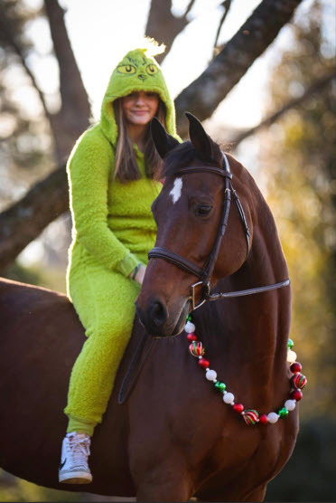 Entry image for Finn. Clicking this image will show a larger photo