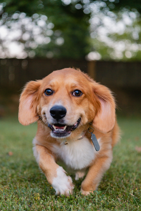 Entry image for Saki. Clicking this image will show a larger photo