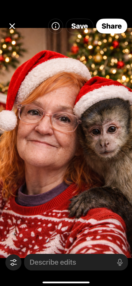 Entry image for Rowdy. Clicking this image will show a larger photo