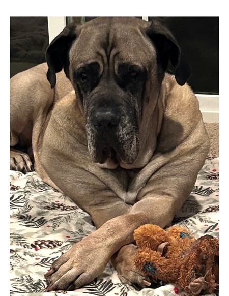 Entry image for Camden. Clicking this image will show a larger photo