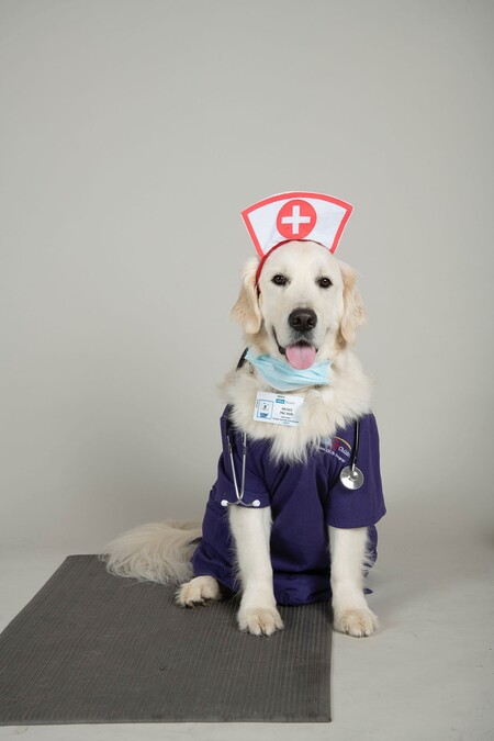 Entry image for McGee. Clicking this image will show a larger photo