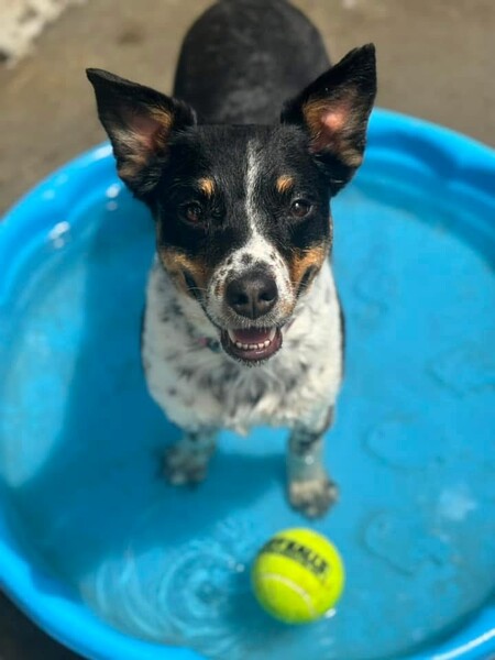 Entry image for Calliope "Cali" Torres . Clicking this image will show a larger photo