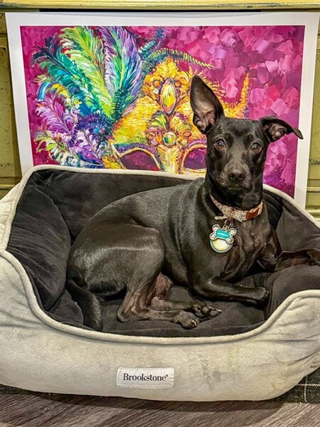 Entry image for Mirabelle. Clicking this image will show a larger photo