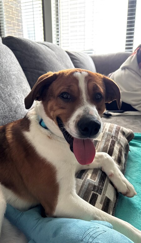 Entry image for Gene. Clicking this image will show a larger photo