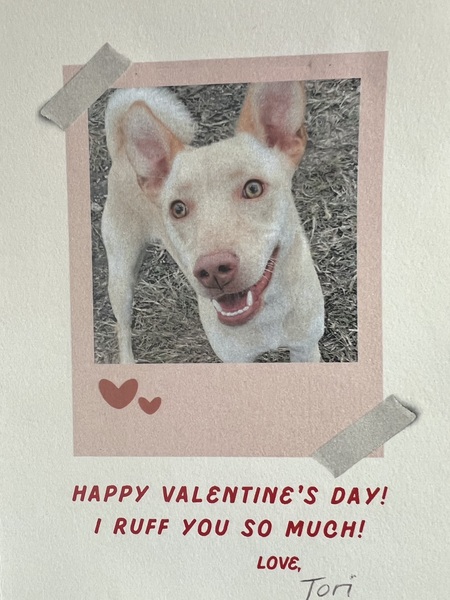 Entry image for Tori. Clicking this image will show a larger photo