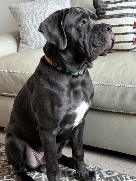 Entry image for Linkin (as in Linkin Park). Clicking this image will show a larger photo