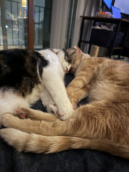 Entry image for Lightning McQueen & Mater. Clicking this image will show a larger photo