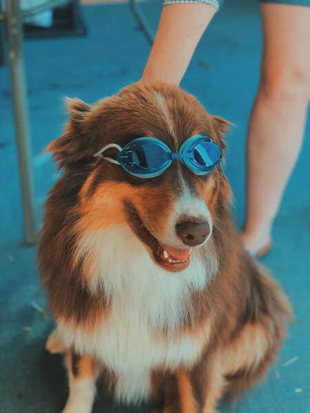 Entry image for Phil. Clicking this image will show a larger photo