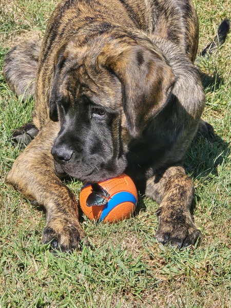 Entry image for Kingston. Clicking this image will show a larger photo