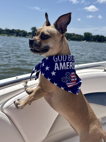 Entry image for Aspyn. Clicking this image will show a larger photo