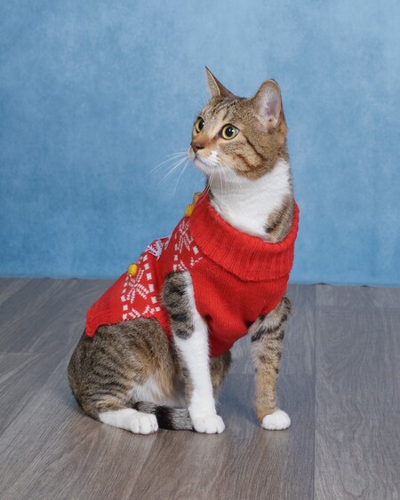 Entry image for Lana. Clicking this image will show a larger photo