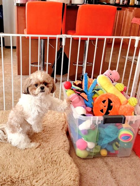 Entry image for Aries Francois (Benito) Lamont Hickerson. Clicking this image will show a larger photo