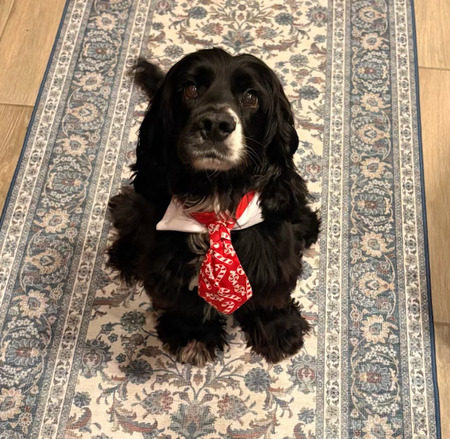 Entry image for Walter. Clicking this image will show a larger photo