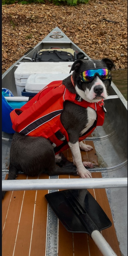 Entry image for Glacier Amadeus Hale. Clicking this image will show a larger photo