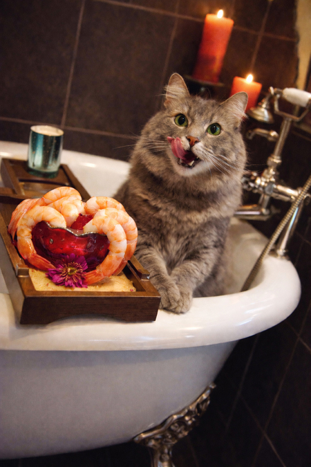 Entry image for Tink - Spa Day. Clicking this image will show a larger photo