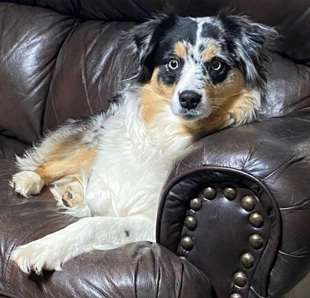 Entry image for Myah Shea . Clicking this image will show a larger photo