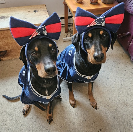 Entry image for Penny & Pandora. Clicking this image will show a larger photo