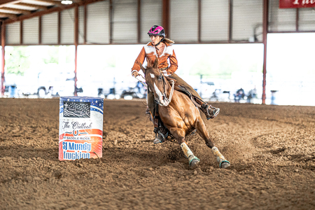 Entry image for Gypsy. Clicking this image will show a larger photo