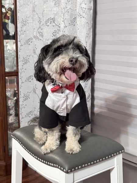 Entry image for Bronco. Clicking this image will show a larger photo