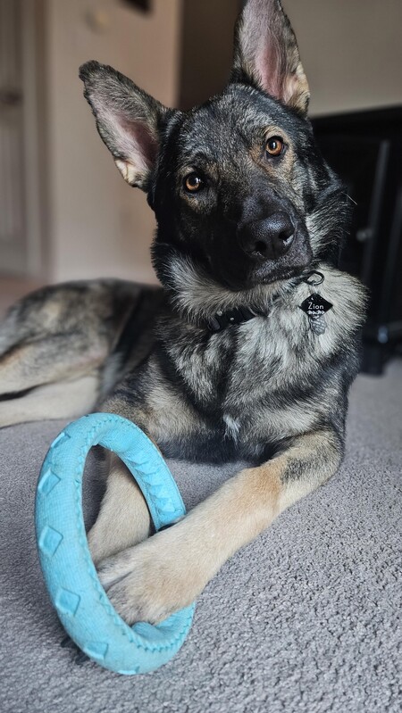 Entry image for Zion. Clicking this image will show a larger photo